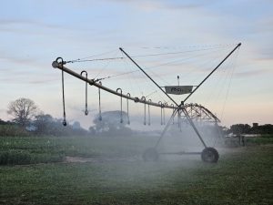 Programa deve ampliar agricultura irrigada