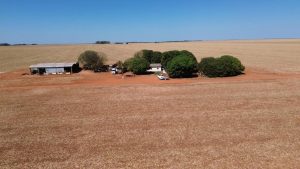 Área de 2,4 mil hectares que pertencia a Banco do Mato Gosso vai à leilão