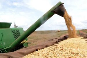 Plano Safra: R$ 400,5 bilhões para agro empresarial