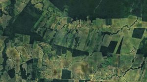 Decreto destrava regularização fundiária em florestas tipo b