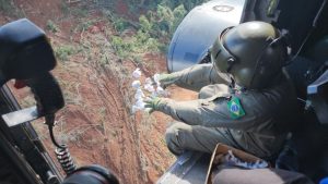 Cinco milhões de sementes são lançadas de helicóptero para recompor Vale do Taquari