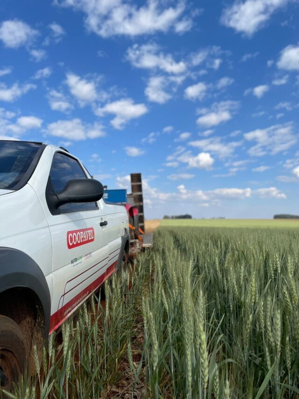 Show Rural de Inverno vai mostrar benefícios da agricultura de precisão no trigo