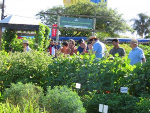 Vitrine de Agroecologia será uma das novidades do Show Rural de Inverno