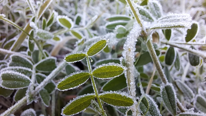 Manhã congelante com marca de -5,3ºC; veja temperaturas