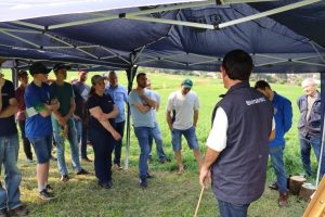 Dia de Campo apresenta alternativas e orientações de manejo de forrageiras de inverno