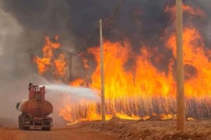 Ações sobem e mercado lucra com os incêndios em São Paulo