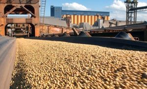 Crescimento da industrialização de produtos do agronegócio impulsiona economia