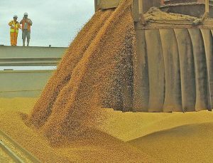 Brasil faz a maior importação de soja em 21 anos
