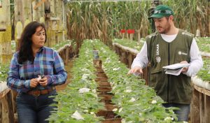 FAEP contrata técnicos e supervisores de campo para ATeG