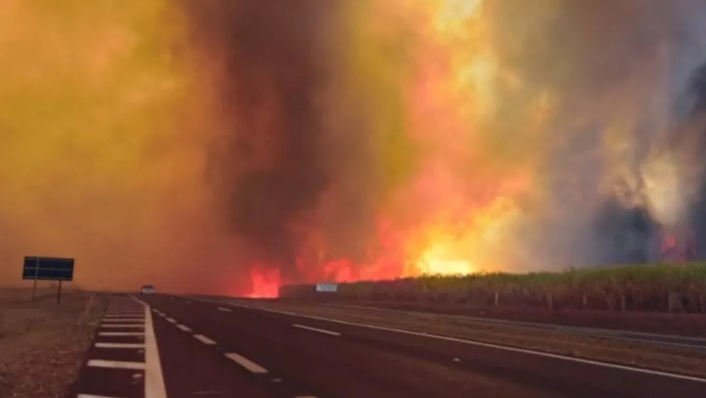 Governo de São Paulo cria gabinete de crise para combate a incêndios