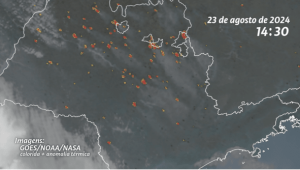 Mais de 80% dos focos de calor em SP estão em áreas de agropecuária