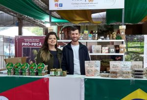 Noz-Pecan: Produtores focam no futuro da cultura e na virada para a safra 2025