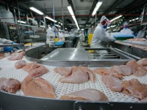 China retoma compra carne de frango do Brasil; estabelecimentos do RS continuam suspensos