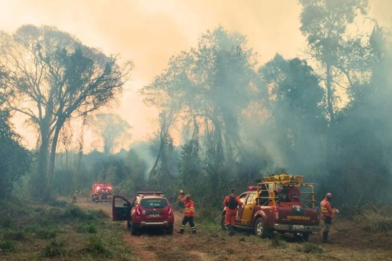 Corpo de Bombeiros do Paraná já atendeu mais de 9,3 mil incêndios florestais em 2024