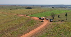 Invasões no campo levam insegurança e prejuízo generalizado