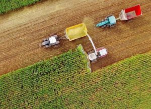 Secretaria de Agricultura avalia implementar seguro paramétrico para ampliar cobertura no campo
