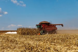 Força econômica: Agro foi o setor que mais empregou em junho