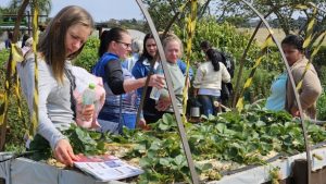 Agricultores familiares conhecem alternativas sustentáveis de renda