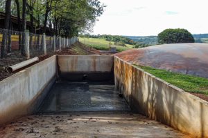 Produção de biogás a partir da suinocultura gera renda extra para produtores