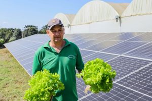Transformação energética nos hidropônicos: energia solar reduz conta de produtor em 85%