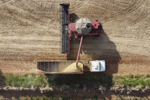 35 cidades têm Valor Bruto da Produção Agropecuária superior a R$ 1 bilhão