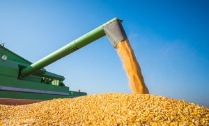 CMN aprova regras para renegociação de crédito rural em municípios gaúchos afetados por enchentes