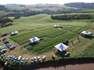 Dia de campo mostra a importância do manejo e da conservação de solo na produção de grãos