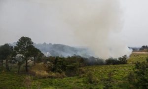 Correntes de vento levarão muita fumaça da Amazônia para o Sul do Brasil