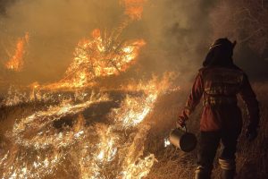 Retorno da segunda equipe de bombeiros militares encerra missão no Pantanal