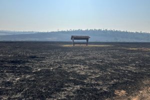 Incêndio gigantesco mobiliza força-tarefa e helicópteros