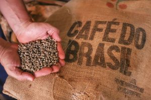 Exportações de café têm melhor 1º semestre dos últimos 12 anos