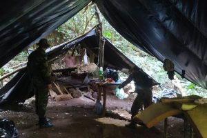 IAT e Força Verde desmobilizam acampamento de caçadores