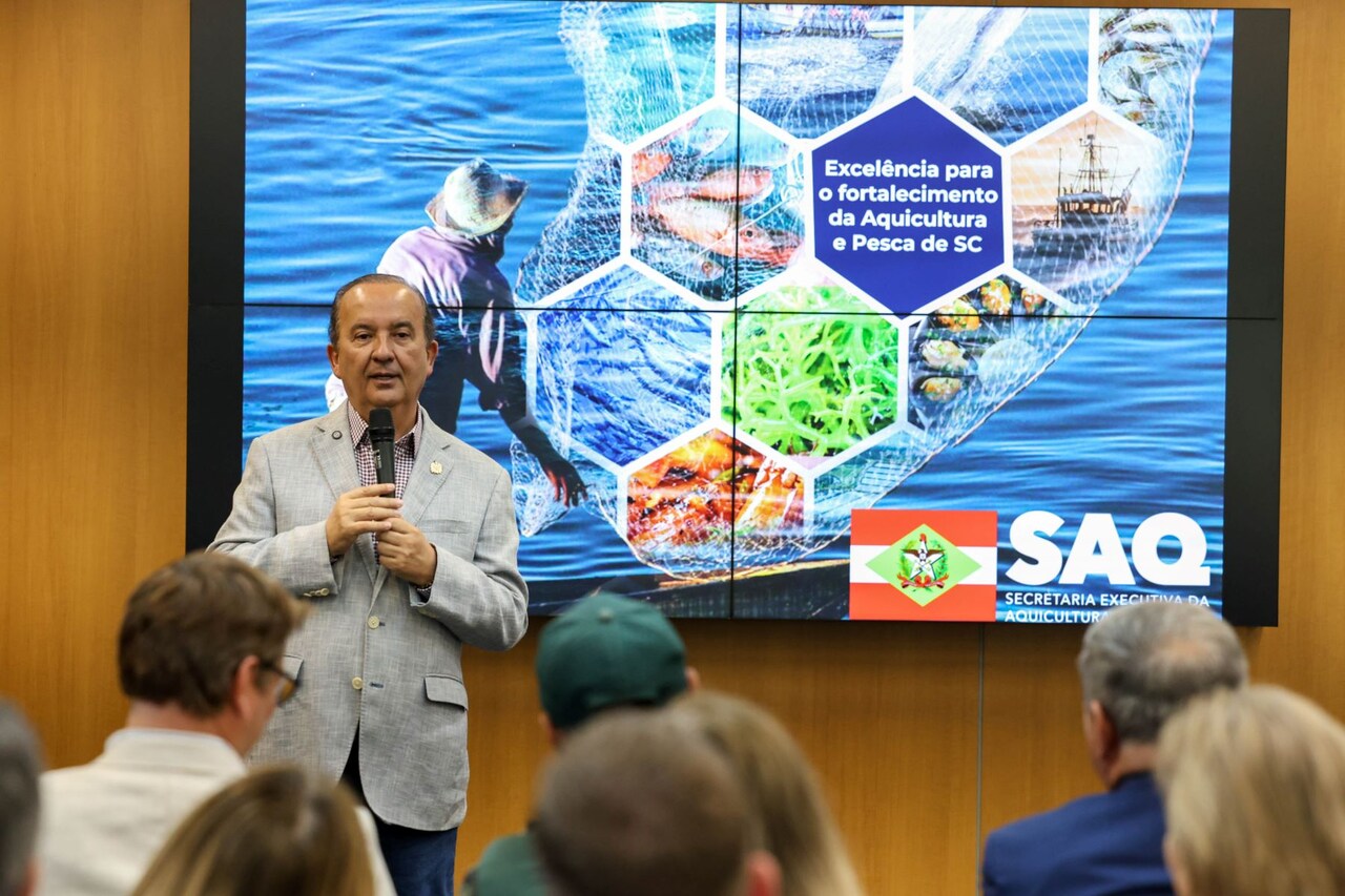 Plataforma digital com dados do setor apoia pescador e desenvolve a pesca