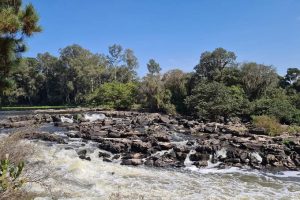 Três parques serão implementados para proteger o Rio Iguaçu