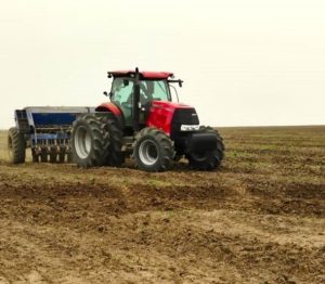 Expectativas lançadas: Começa a semeadura de arroz
