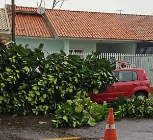 Temporal chega a Cascavel com ventania e granizo