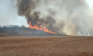 Brigadista morre durante combate a incêndio