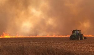 Incêndios afetaram 8 mil propriedades rurais e deixaram R$ 2 bi de prejuízos