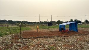 Justiça defere reintegração de posse de fazenda com dupla invasão