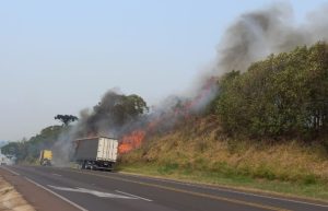 Faísca de incêndio ambiental causa destruição em caminhão de algodão