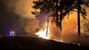 Incêndios em série podem ter sido criminosos