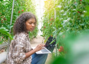 Programa é criado para incentivar jovens no agro