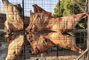 Cresce o interesse dos consumidores pela carne de búfalo e produtos processados