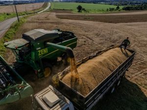Aumento na produção de cereais, leguminosas e oleaginosas