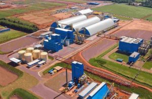 Esmagadora de soja da C.Vale já opera com 66% de sua capacidade