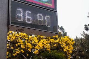 Parte do Paraná teve o inverno mais quente em quase três décadas, aponta Simepar