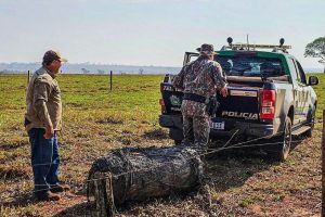 Suspeita: Lixo espacial é encontrado em fazenda