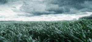 Embora moderada, La Niña coloca produtor em alerta