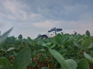 Safra: Cultivo da soja já está liberado em Mato Grosso