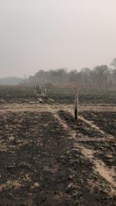 Senar ajuda produtores pantaneiros na recuperação após incêndios